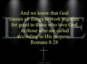 romans8